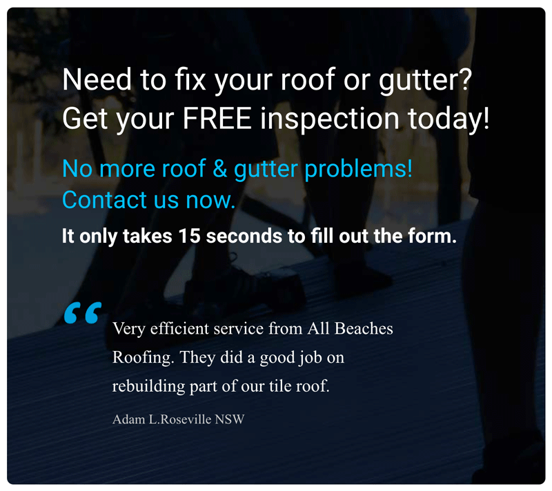 Roof and Gutter Repair Northern Beaches Australia