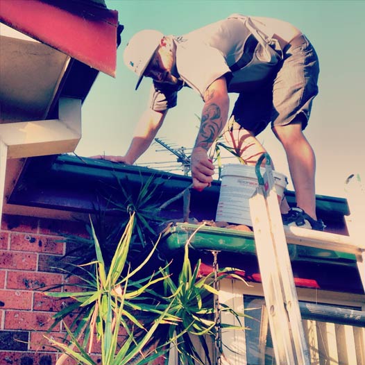 Roofing Northern Beaches Professionals on Ladder